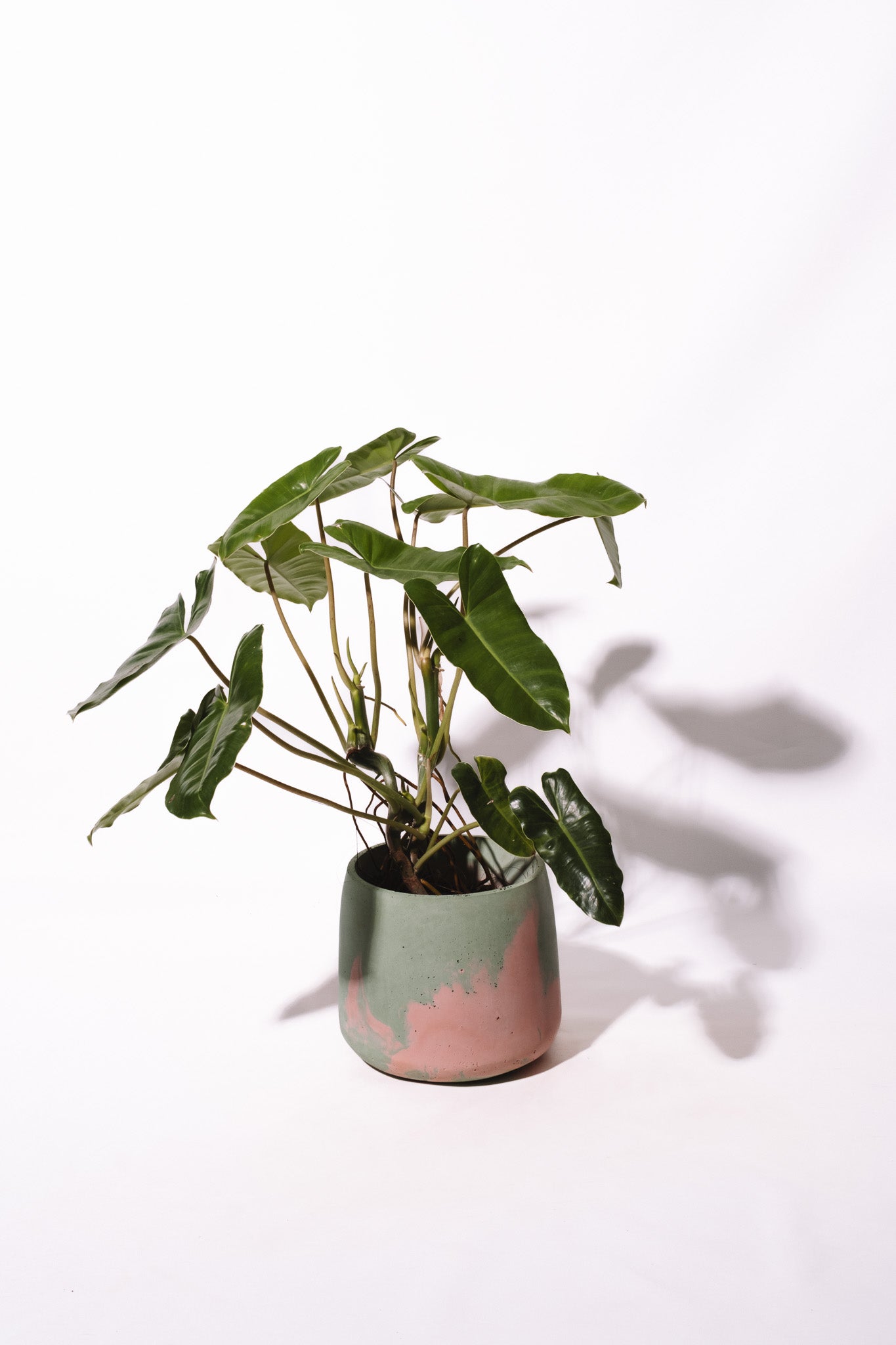 Pot Nuances de vert menthe et rose - BIG MATERA
