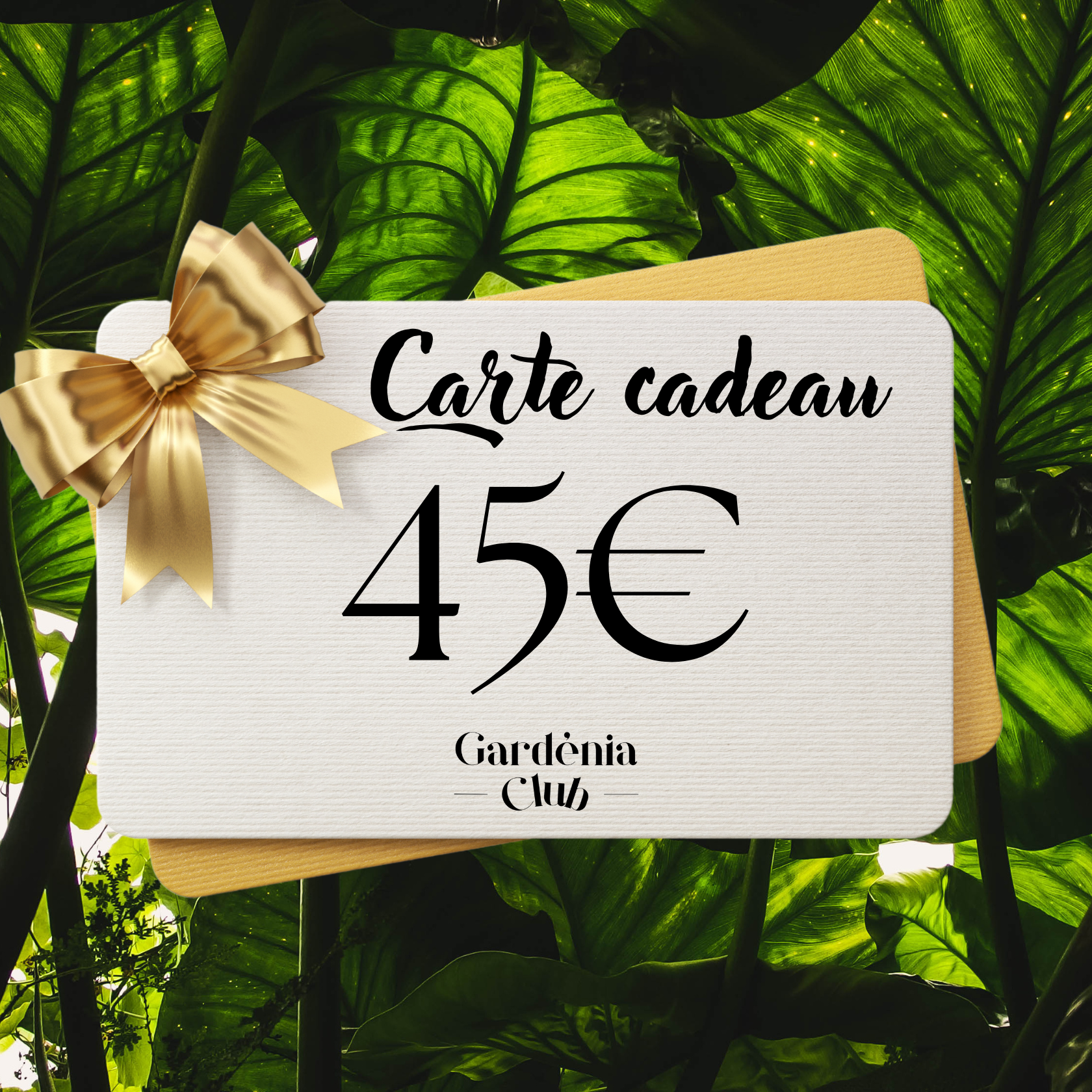Carte Cadeau de 45€