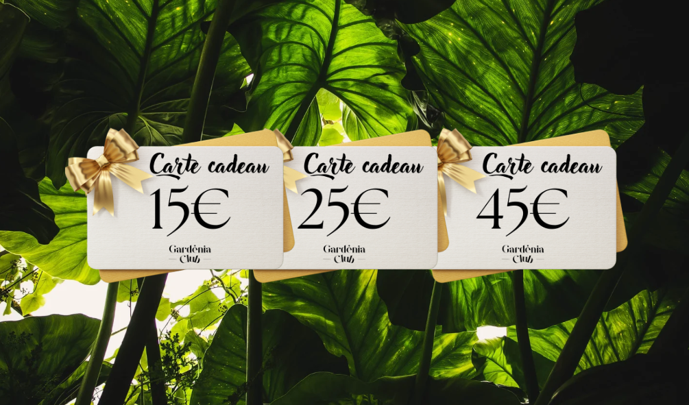 Les Cartes Cadeaux