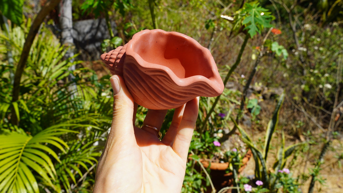 Pot « Conque »
