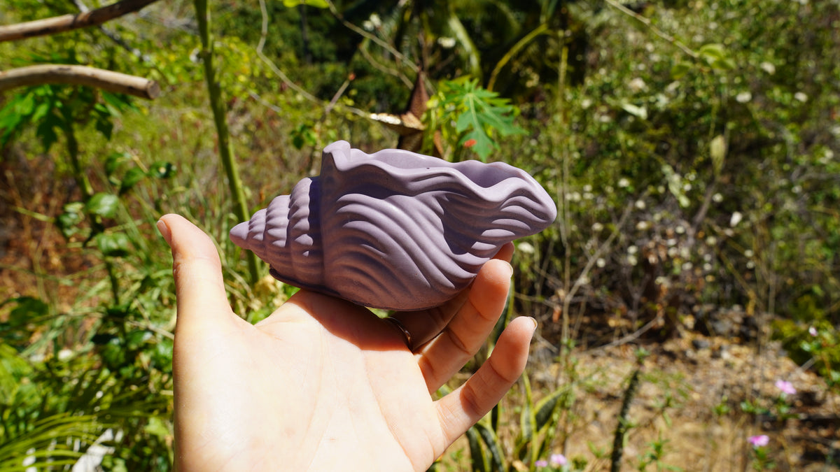 Pot « Conque »