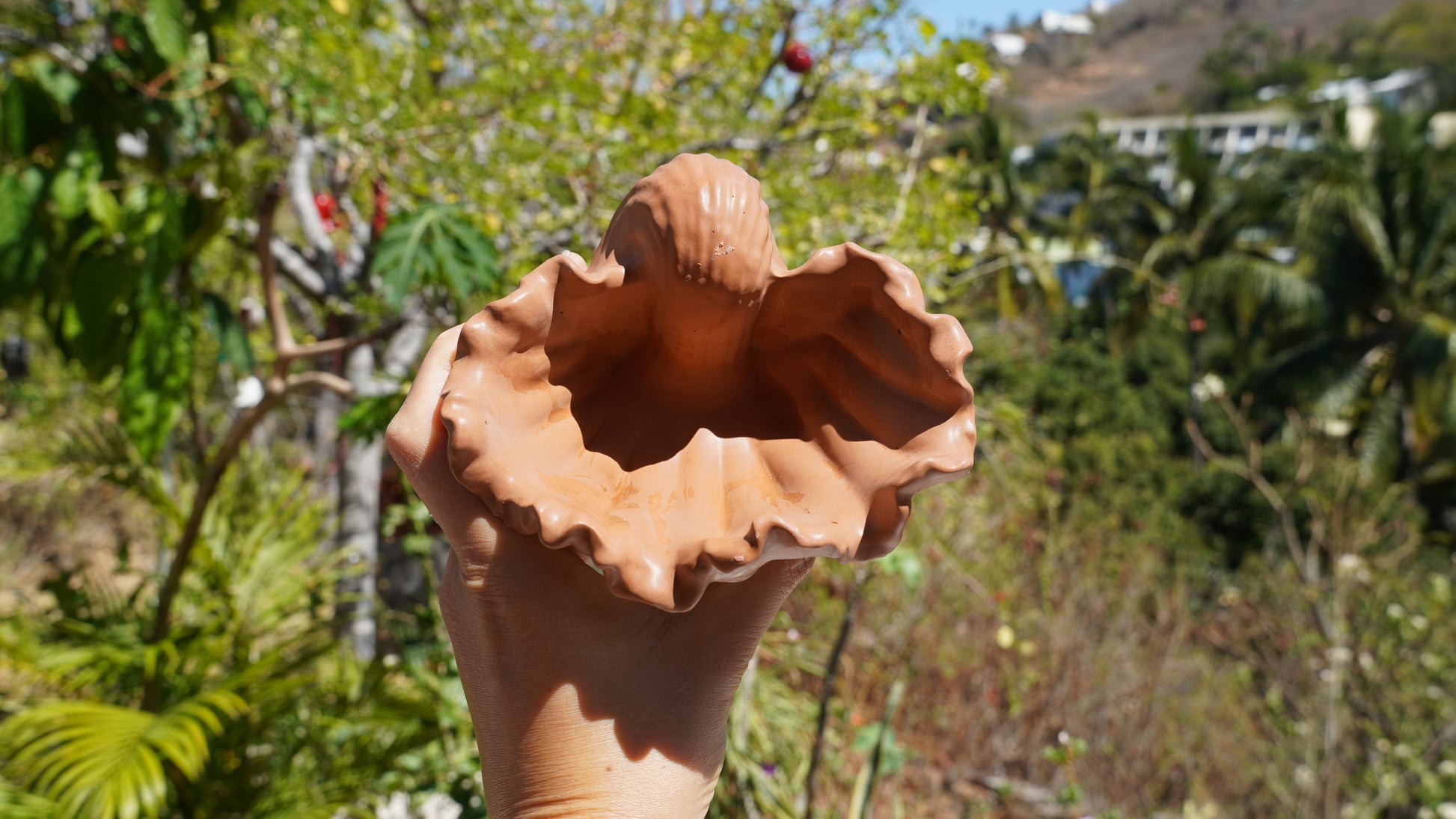 Pot « Bénitier »