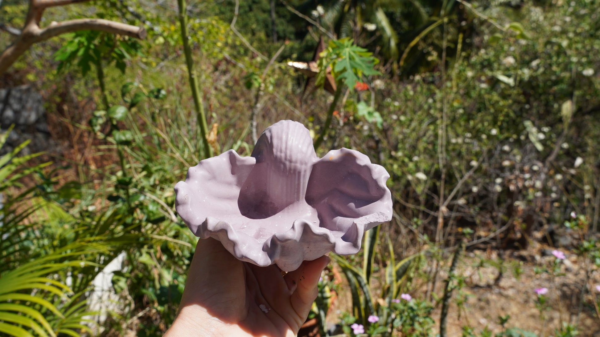 Pot « Bénitier »