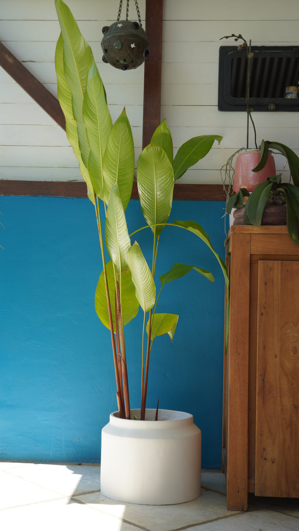 Pot « Volcano » 11L