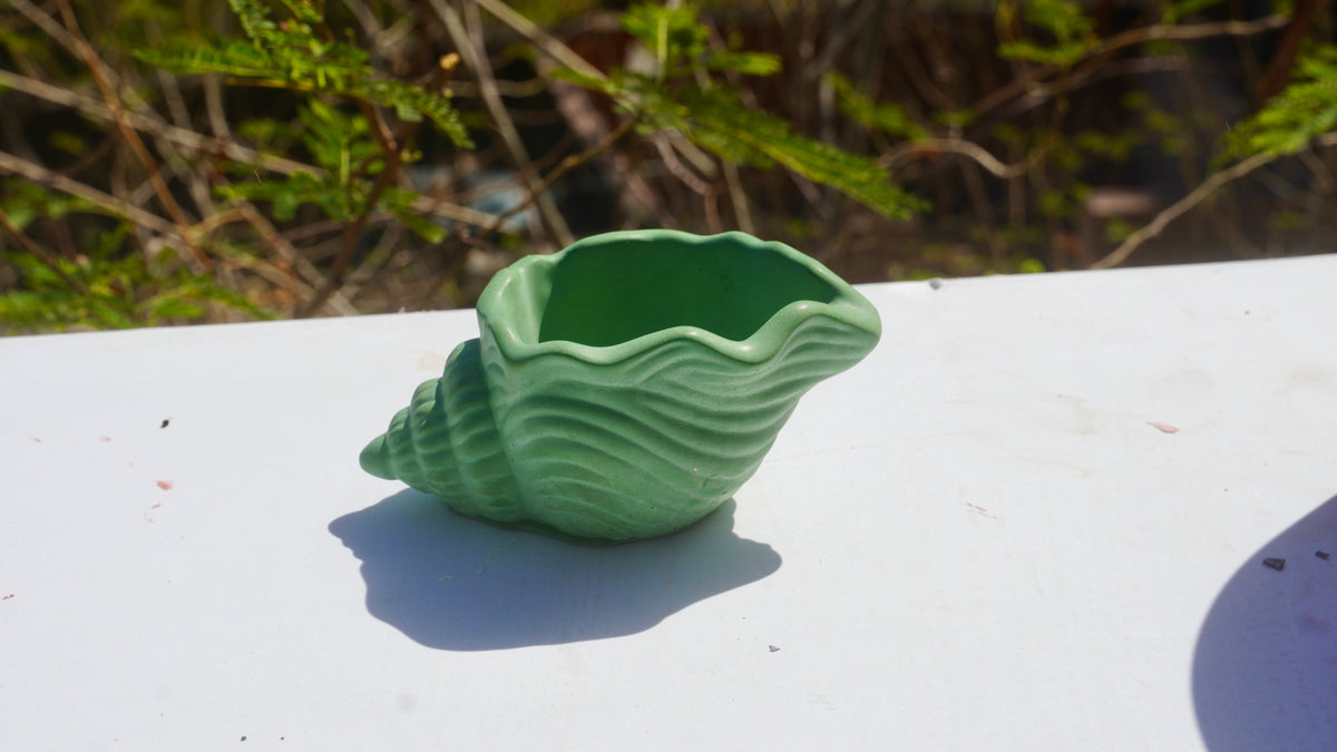 Pot « Conque »