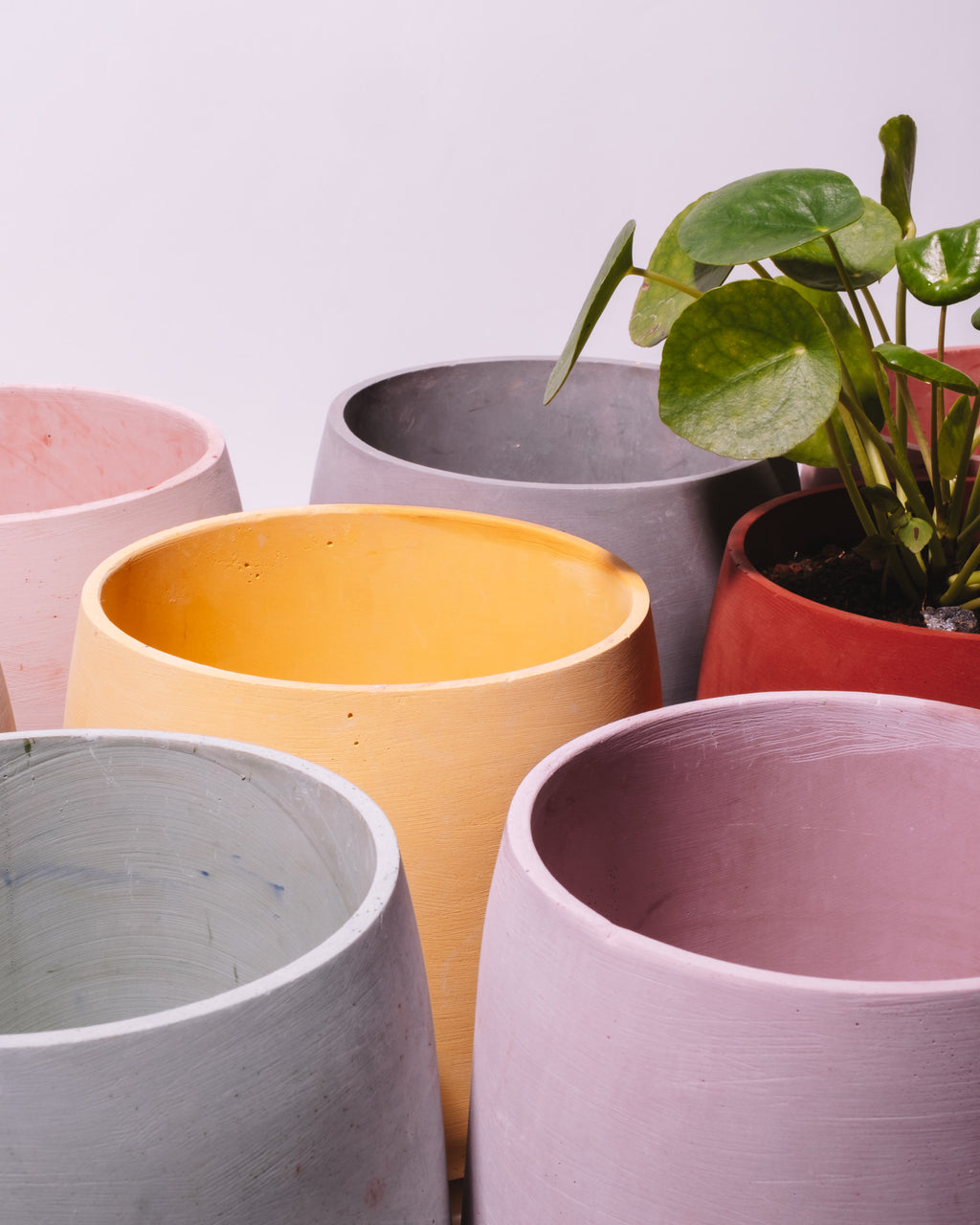 Pot « Gro Goni » 3,3L