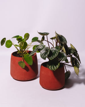 Pot « Ti Goni » 1,2 litres