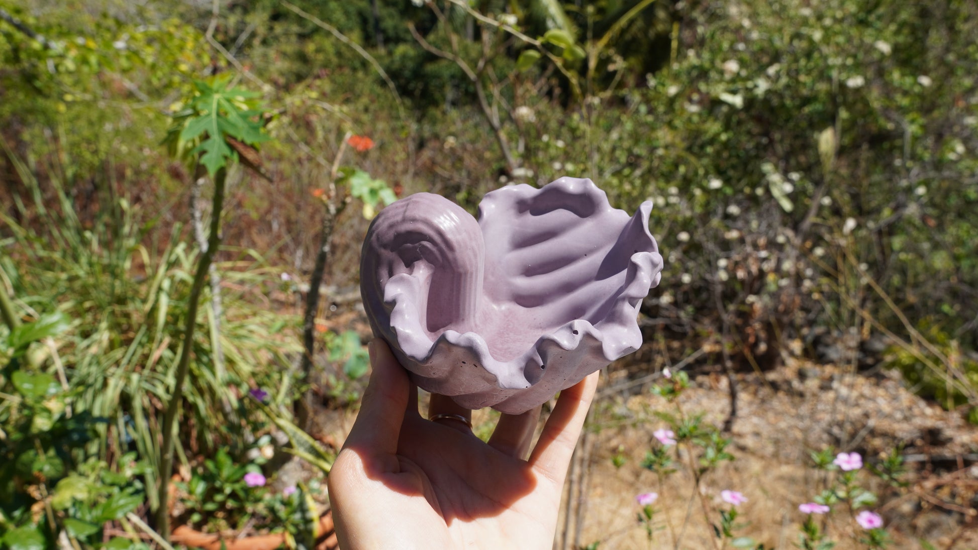 Pot « Bénitier »