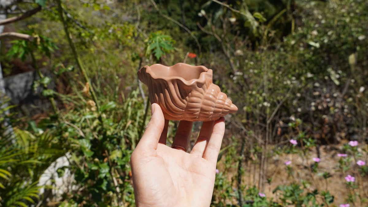 Pot « Conque »