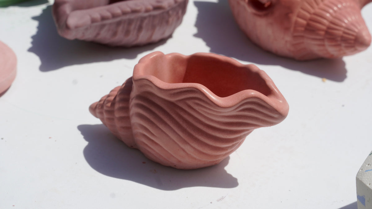 Pot « Conque »