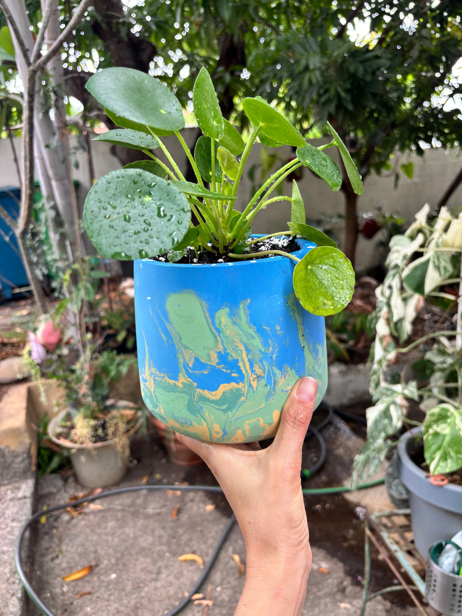 +1 couleur - Option Nuances personnalisées