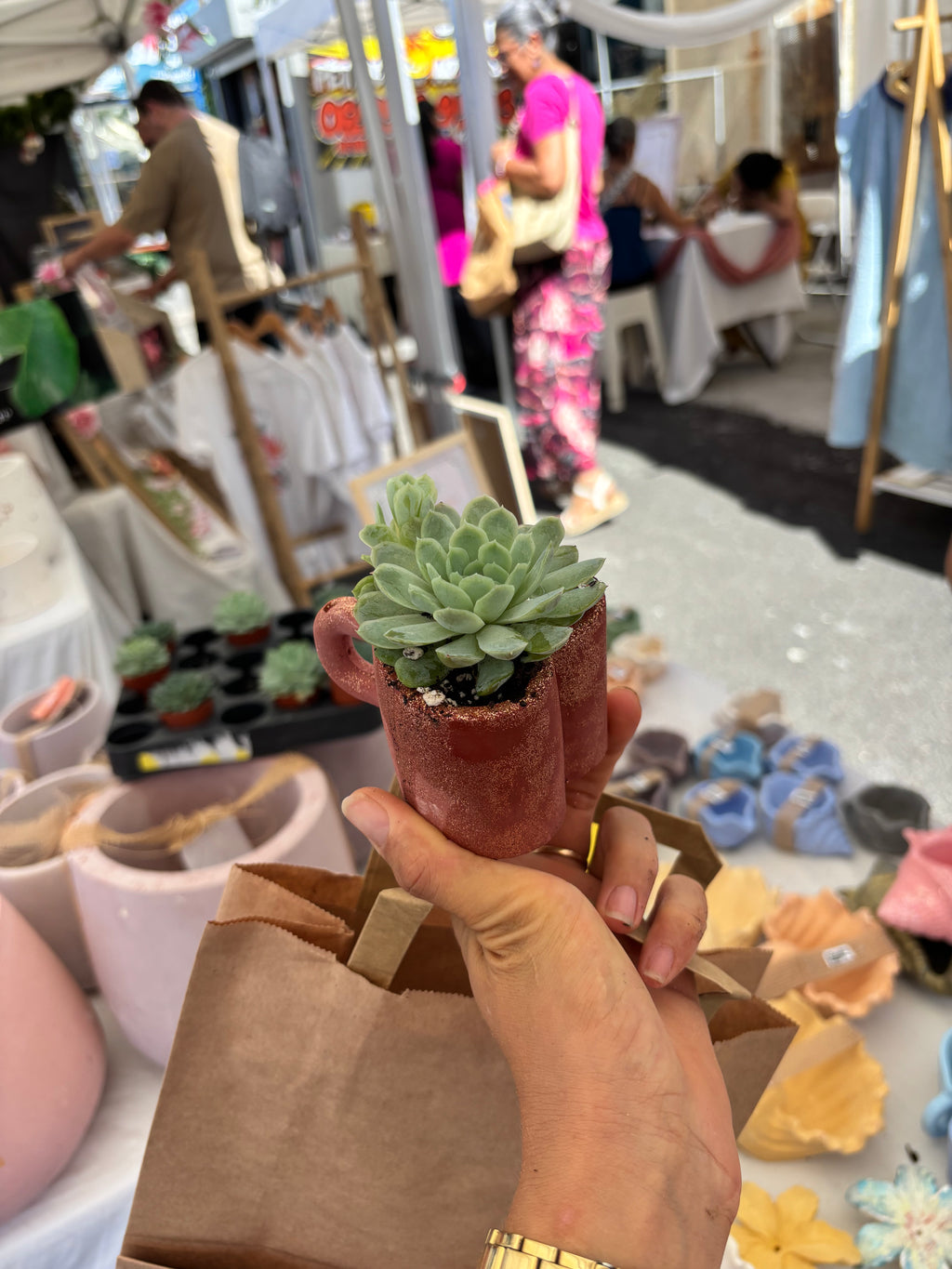 Echeveria